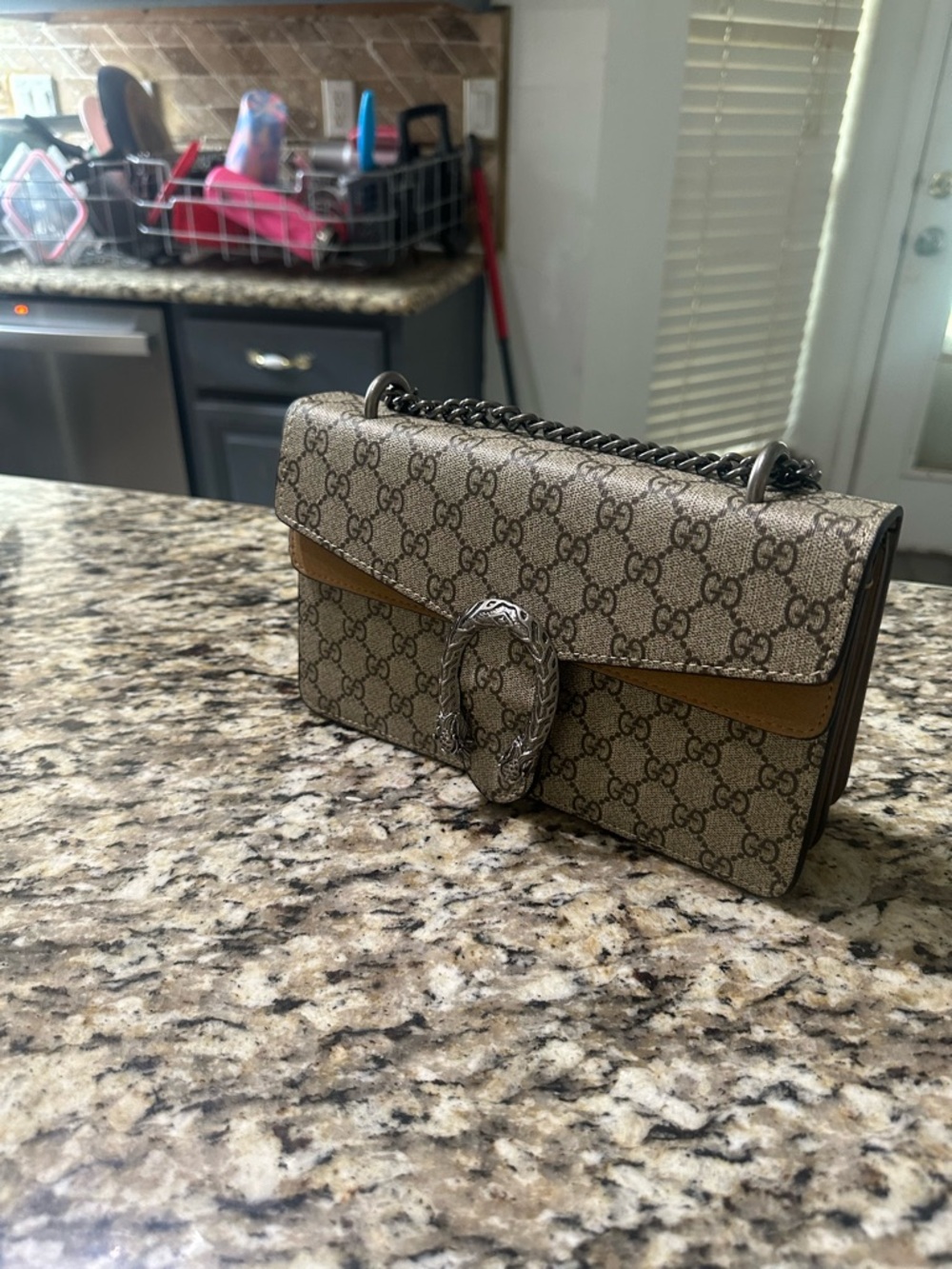 GG Gucci Canvas Crossbody with Tan Trim and Silver Chain